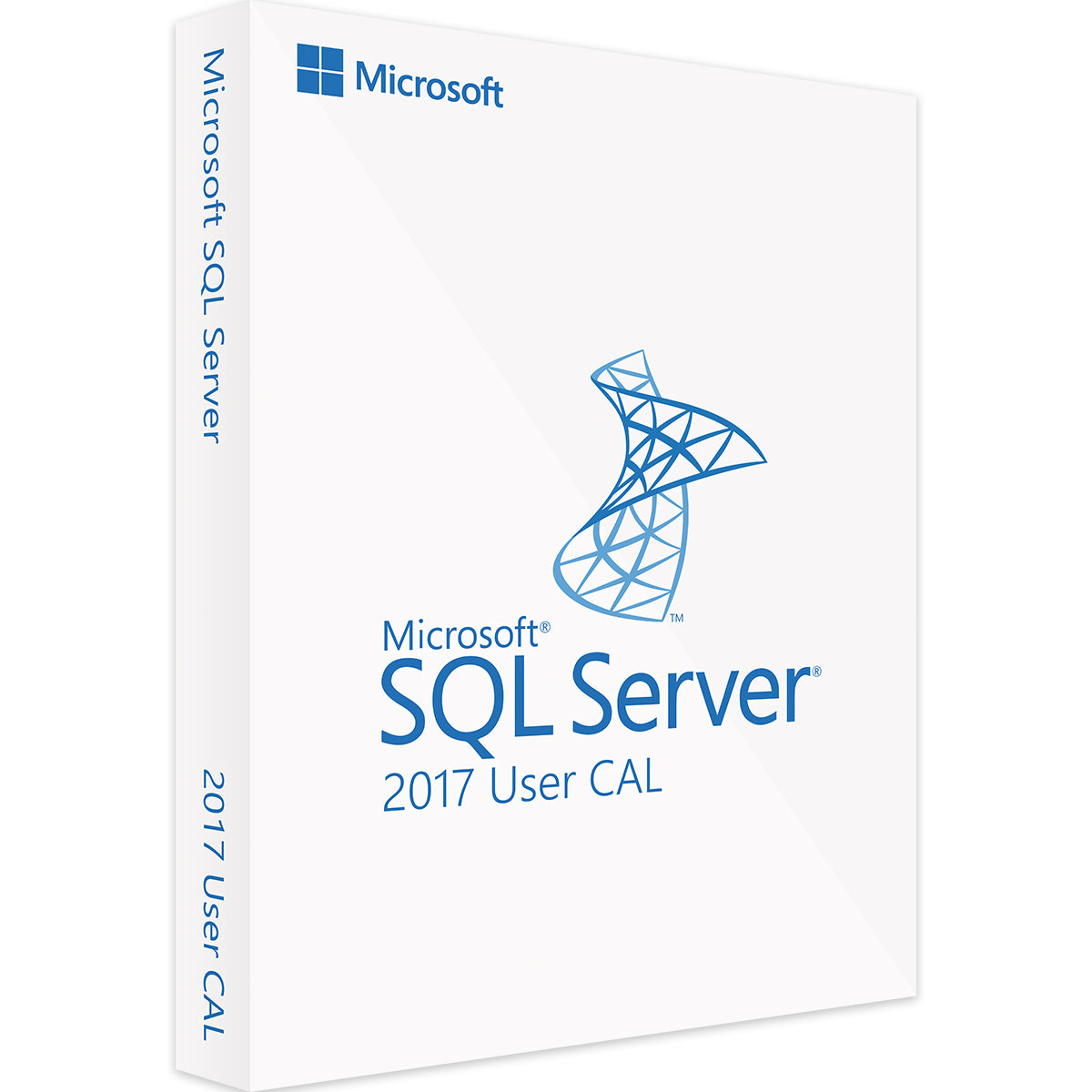 SQL Server 2017 Standard 10 User CAL