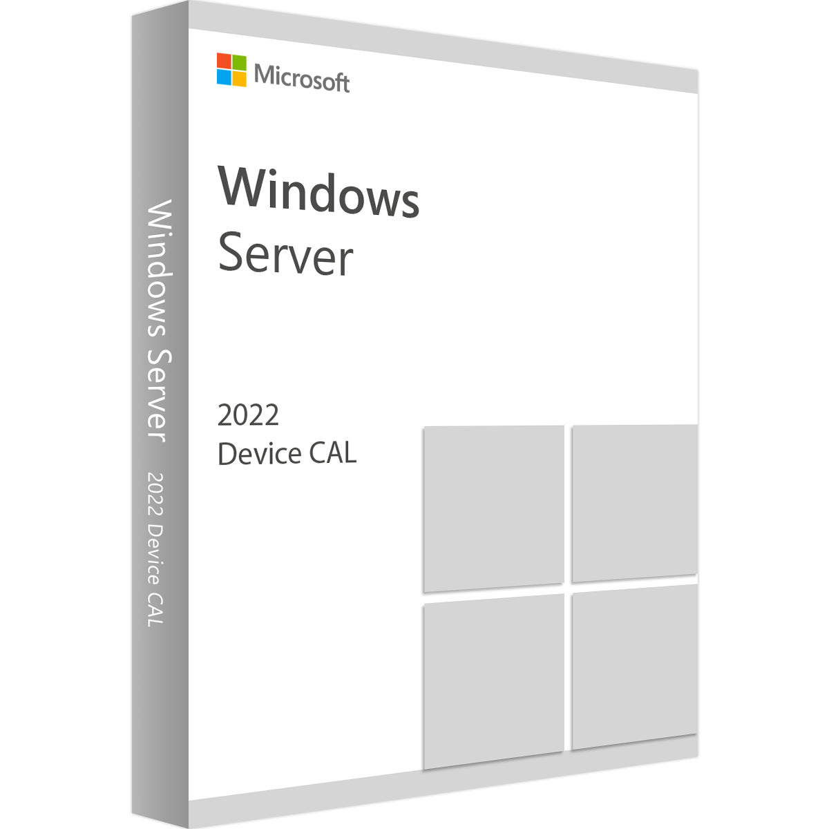 Windows Server 2022 10 Device CAL